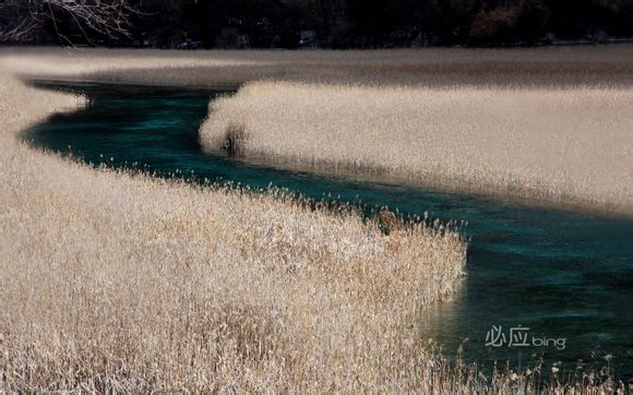 fgo第七章多少关