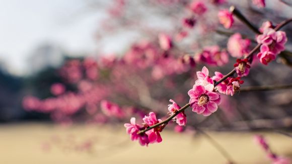 控制欲太强怎么办