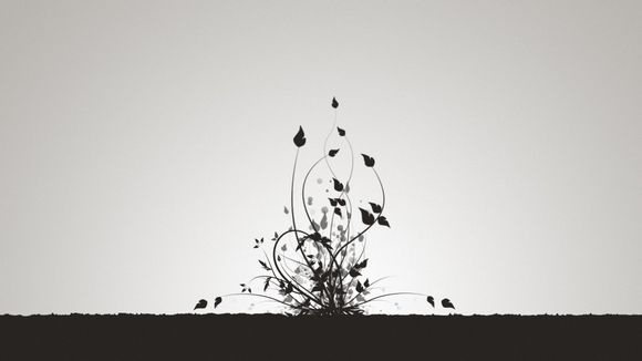 黑铁矮人同盟种族解锁任务