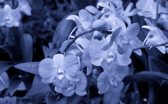 b2轰炸机造价多少钱